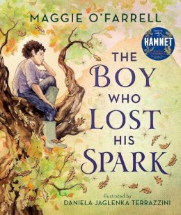 Maggie O´farrell - The Boy Who Lost His Spark - 9781406392012 - 9781406392012