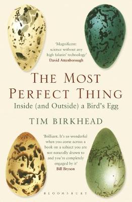Tim Birkhead - The Most Perfect Thing: Inside (and Outside) a Bird´s Egg - 9781408851272 - 9781408851272