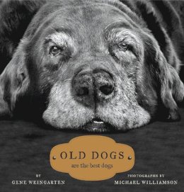 Gene Weingarton - Old Dogs - 9781416534990 - V9781416534990