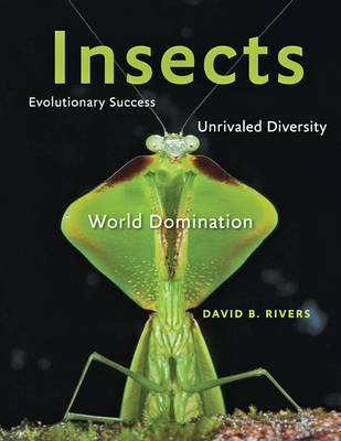 David B. Rivers - Insects: Evolutionary Success, Unrivaled Diversity, and World Domination - 9781421421704 - V9781421421704