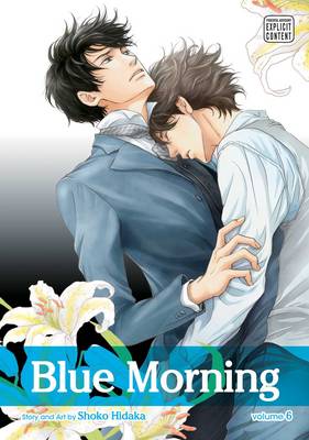 Shoko Hidaka - Blue Morning, Vol. 6 - 9781421588063 - V9781421588063