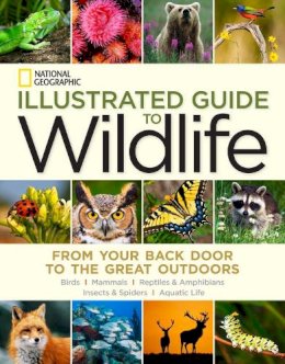 National Geographic - National Geographic Illustrated Guide to Wildlife: From Your Back Door to the Great Outdoors - 9781426213724 - V9781426213724