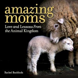 Rachel Buchholz - Amazing Moms: Love and Lessons From the Animal Kingdom - 9781426216671 - V9781426216671