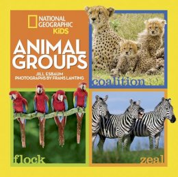 Jill Esbaum - Animal Groups (Animals) - 9781426320606 - V9781426320606