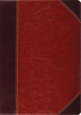 Leather / Fine Binding - ESV Study Bible (TruTone, Brown/Cordovan, Portfolio Design) - 9781433503795 - V9781433503795