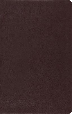 Leather / Fine Binding - ESV Large Print Thinline Reference Bible (Brown) - 9781433532788 - V9781433532788