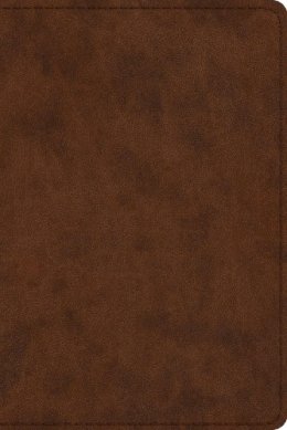 Leather / Fine Binding - ESV Study Bible, Personal Size - 9781433547621 - V9781433547621