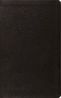 Leather / Fine Binding - ESV Value Thinline Bible - 9781433550652 - V9781433550652