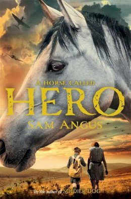 Sam Angus - A Horse Called Hero - 9781447235774 - V9781447235774