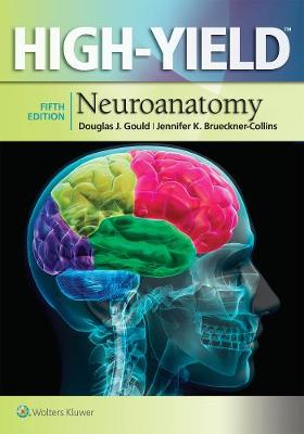 Gould - High-Yield(TM) Neuroanatomy (High-Yield  Series) - 9781451193435 - V9781451193435