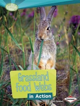Paul Fleischer - Grassland Food Webs in Action - 9781467715546 - V9781467715546