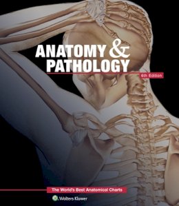 Anatomical Chart Company - Anatomy & Pathology:The World´s Best Anatomical Charts Book - 9781469889900 - V9781469889900