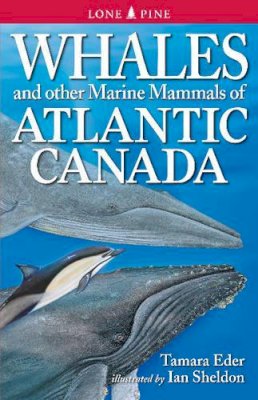 Tamara Eder - Whales and Other Marine Mammals of Atlantic Canada - 9781551058825 - V9781551058825