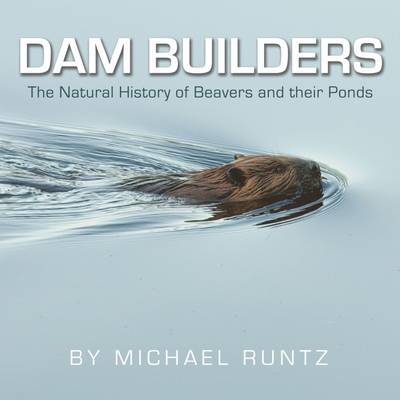 Michael Runtz - Dam Builders: The Natural History of Beavers and Their Ponds - 9781554553242 - V9781554553242