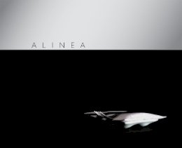 Grant Achatz - Alinea - 9781580089289 - V9781580089289