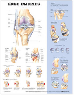 Anatomical Chart Company - 20040629 - 9781587797569 - V9781587797569