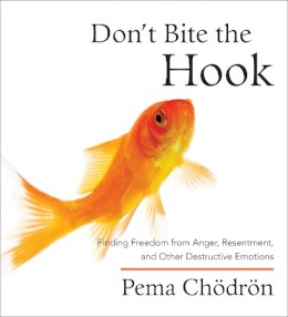 Pema Chodron - Don't Bite the Hook - 9781590304341 - V9781590304341