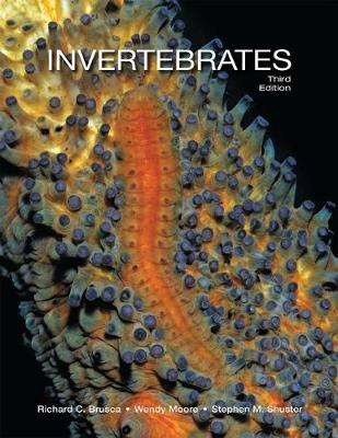 Richard C. Brusca - Invertebrates - 9781605353753 - V9781605353753