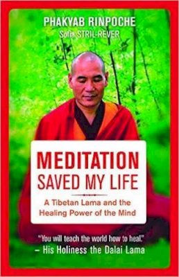 Phakyab Rinpoche - Meditation Saved My Life: A Tibetan Lama and the Healing Power of the Mind - 9781608684625 - V9781608684625