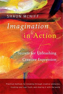 Shaun McNiff - Imagination In Action - 9781611802016 - V9781611802016