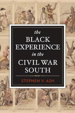 Stephen V. Ash - Black Experience In The Civil War South - 9781612346298 - V9781612346298