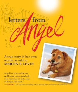 Martin Levin - Letters from Angel - 9781616084578 - V9781616084578