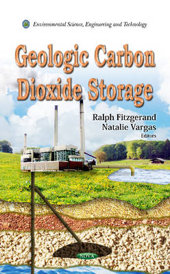 Unknown - Geologic Carbon Dioxide Storage - 9781621001690 - V9781621001690