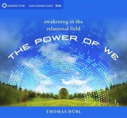 Thomas H?Bl - The Power of We: Awakening in the Relational Field - 9781622033492 - V9781622033492