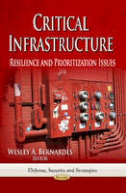 Bernardes W.A. - Critical Infrastructure: Resilience & Prioritization Issues - 9781626189720 - V9781626189720