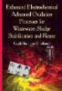 Gagik Badalians Gholikandi - Enhanced Electrochemical Advanced Oxidation Processes for Wastewater Sludge Stabilization and Reuse - 9781634820899 - V9781634820899