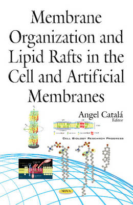 Angel Catala (Ed.) - Membrane Organization & Lipid Rafts in the Cell & Artificial Membranes - 9781634845816 - V9781634845816