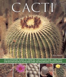 Terry Hewitt - Cacti - 9781780192840 - V9781780192840