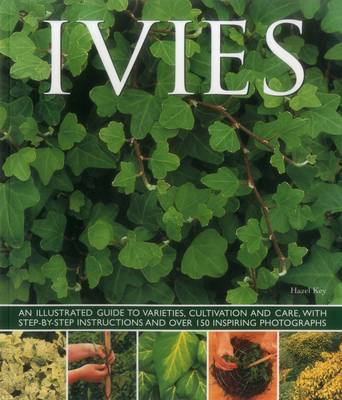 Key Hazel - Ivies - 9781780193687 - V9781780193687