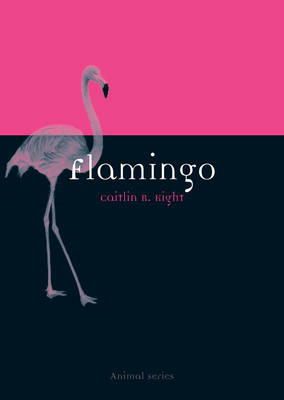 Caitlin R. Kight - Flamingo - 9781780234250 - V9781780234250