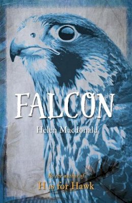 Helen Macdonald - Falcon - 9781780236414 - V9781780236414