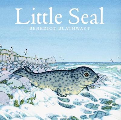 Benedict Blathwayt - Little Seal - 9781780274607 - V9781780274607