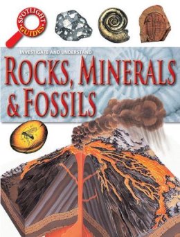 Neil Curtis - Rocks Minerals and Fossils - 9781781213193 - KMK0014541