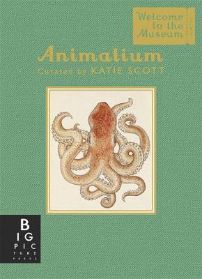 Jenny Broom - Animalium (Mini Gift Edition) - 9781783706112 - V9781783706112