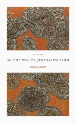 Carola Luther - On the Way to Jerusalem Farm - 9781800171633 - 9781800171633