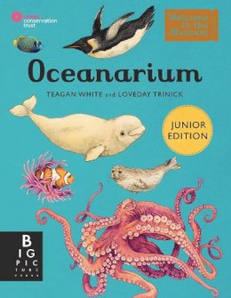 Loveday Trinnick - Oceanarium (Junior Edition) - 9781800784895 - 9781800784895