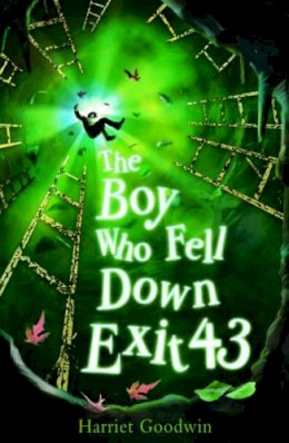 Harriet Goodwin - The Boy Who Fell Down Exit 43 - 9781847150905 - KRF0008988