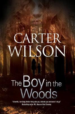 Carter Wilson - The Boy in the Woods - 9781847517883 - V9781847517883