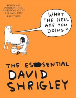 David Shrigley - What the Hell Are You Doing?: The Essential David Shrigley - 9781847678638 - V9781847678638