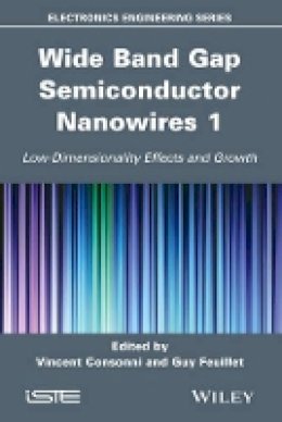 Guy Feuillet - Wide Band Gap Semiconductor Nanowires 1: Low-Dimensionality Effects and Growth - 9781848215979 - V9781848215979