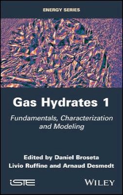 Daniel Broseta (Ed.) - Gas Hydrates 1: Fundamentals, Characterization and Modeling - 9781848219694 - V9781848219694