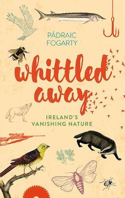 Padraic Fogarty - Whittled Away - 9781848893108 - V9781848893108