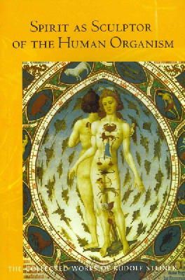 Rudolf Steiner - Spirit as Sculptor of the Human Organism - 9781855844087 - V9781855844087