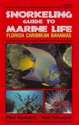 Paul Humann - Snorkeling Guide to Marine Life - 9781878348104 - V9781878348104