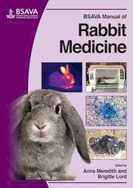 Anna Meredith - BSAVA Manual of Rabbit Medicine (BSAVA British Small Animal Veterinary Association) - 9781905319497 - V9781905319497