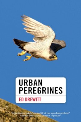 Ed Drewitt - Urban Peregrines - 9781907807817 - V9781907807817